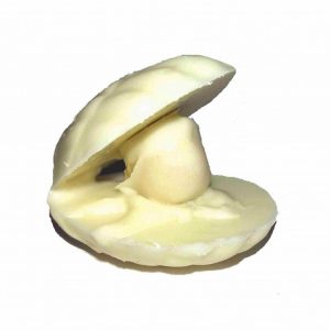 Pearl Sea Shell